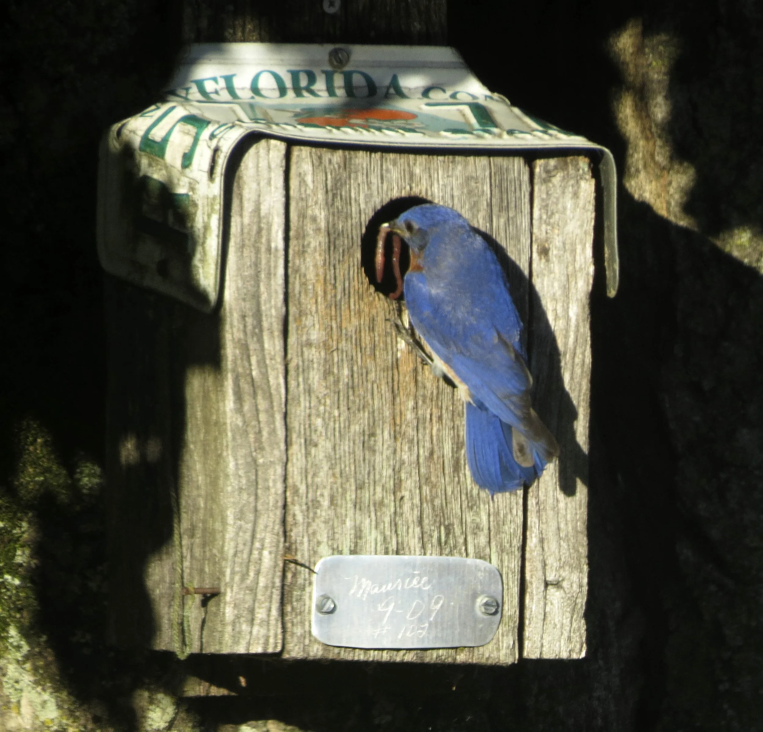 Linda A. Waterhouse  Photography.jpg