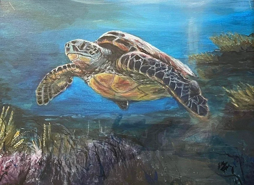 Sea Turtle, At Large