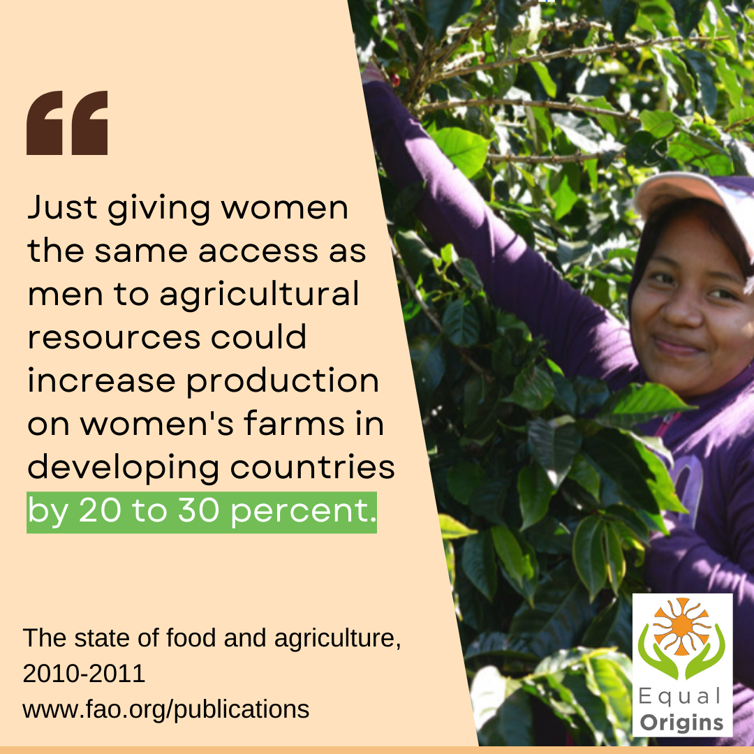 Graphic stating: Just giving women the same access as men to agricultural resources could increase production on women't farms in developing countries by 20 to 30% - from Equal Origins