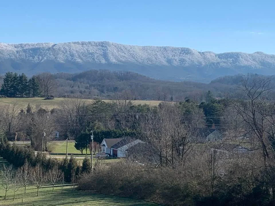 Hoar Frost on Chilhowee Mountain