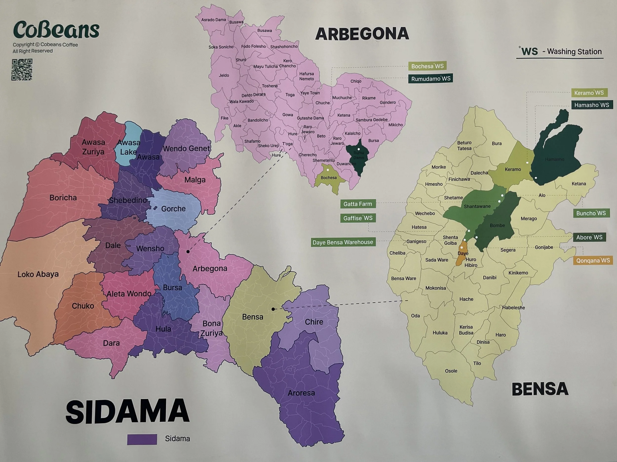 Sidama Ethiopia - Daye Bensa's Washing Stations and Warehouses