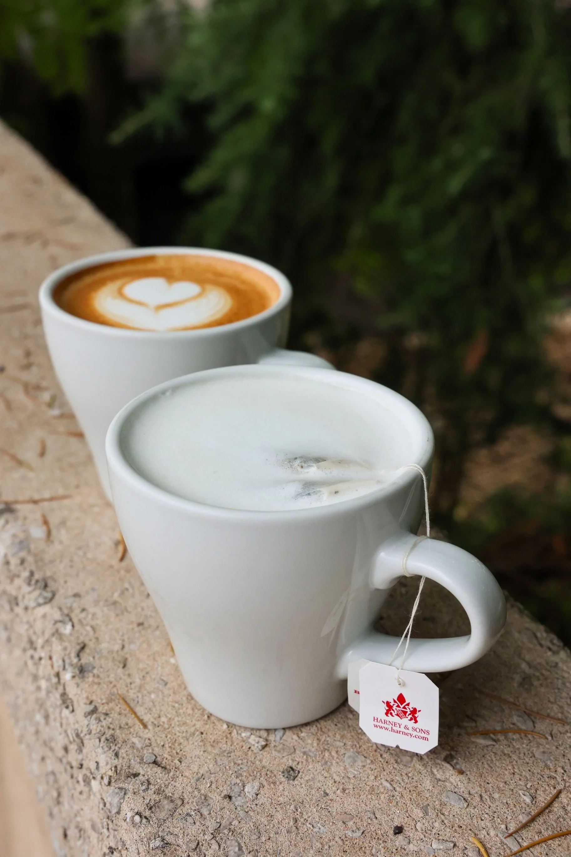 It's Lit 101 and Teacher's Pet Latte