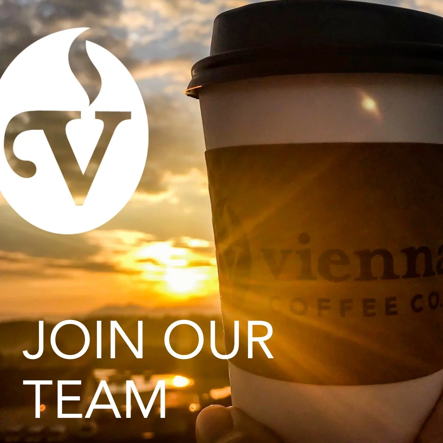 Vienna Coffee Company coffee cup with sunset in the background
