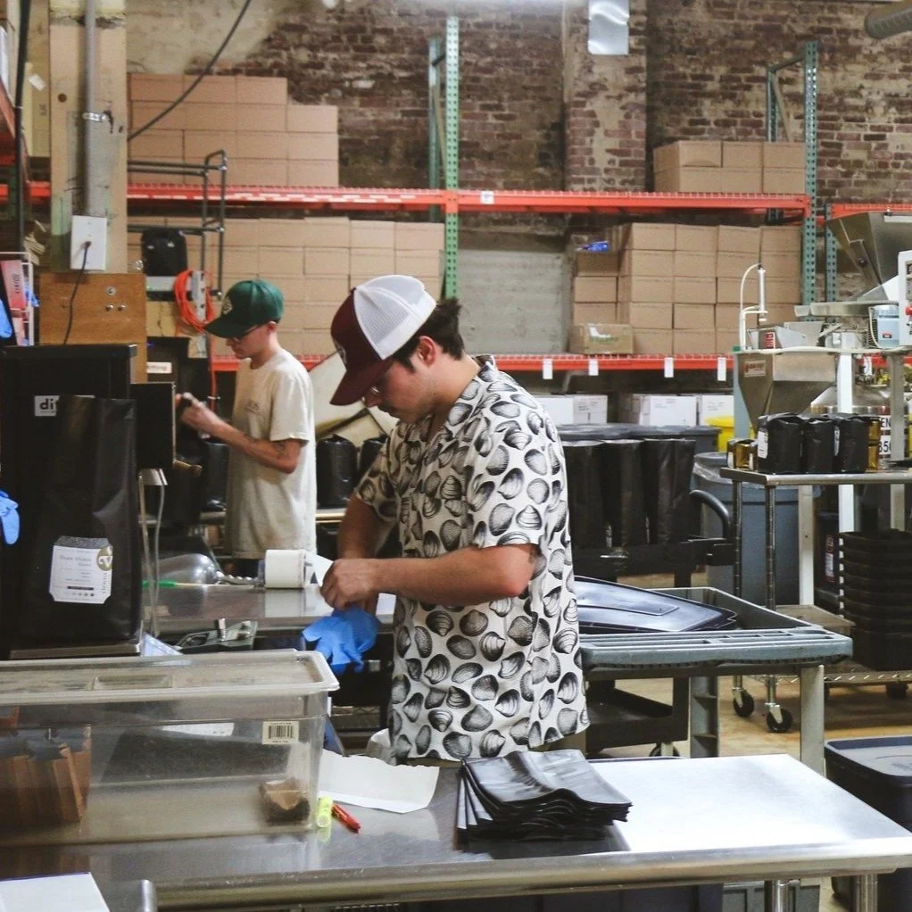 Production line packing fresh beans (Copy)