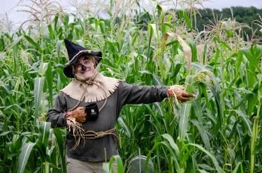 This Way to Vienna Cofee House   Artist,  Margaret Moran  photography.jpg