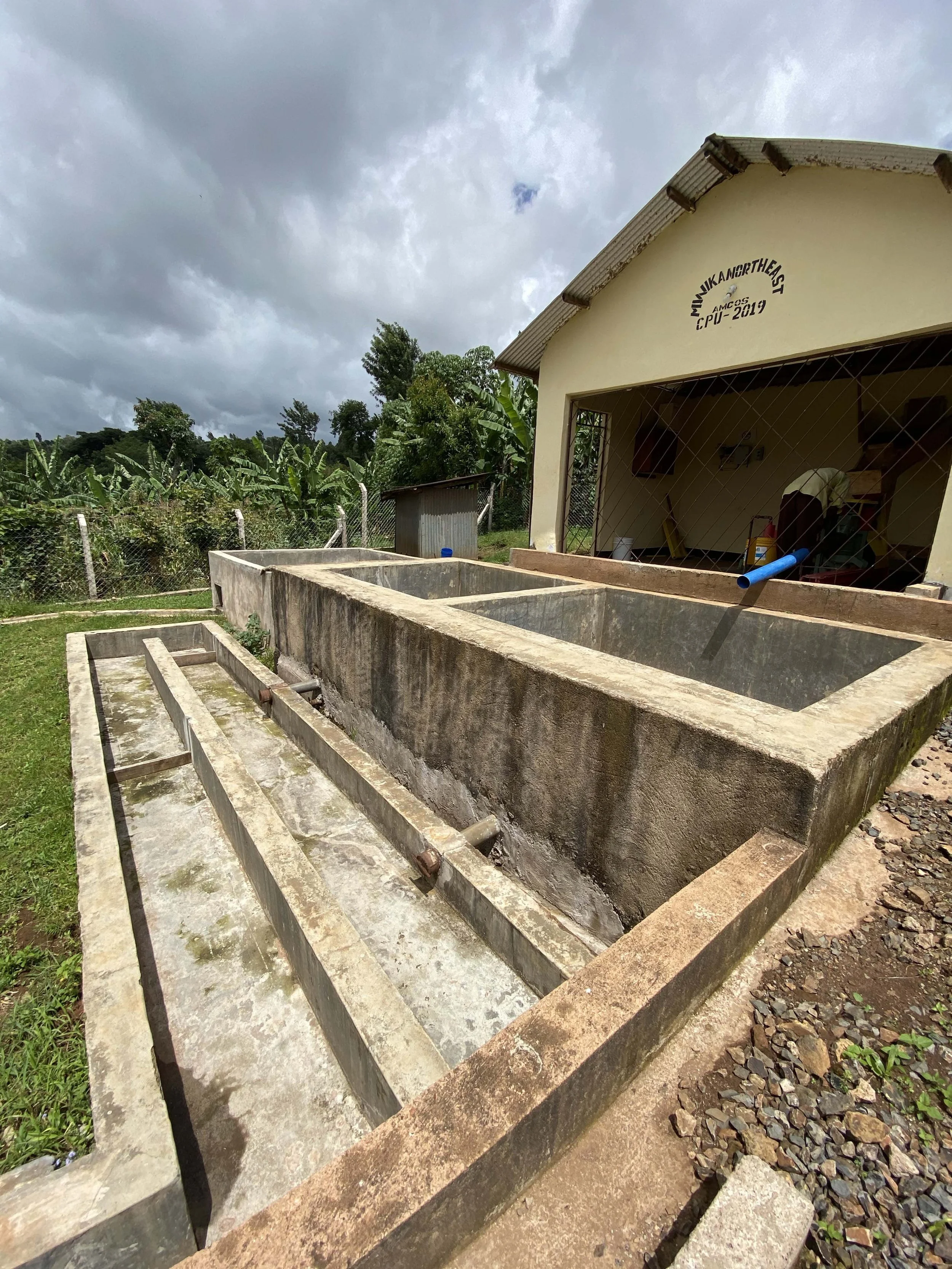  Coffee Processing Unit (CPU) with the fermentation tanks in front before the installation of new tile lining. 