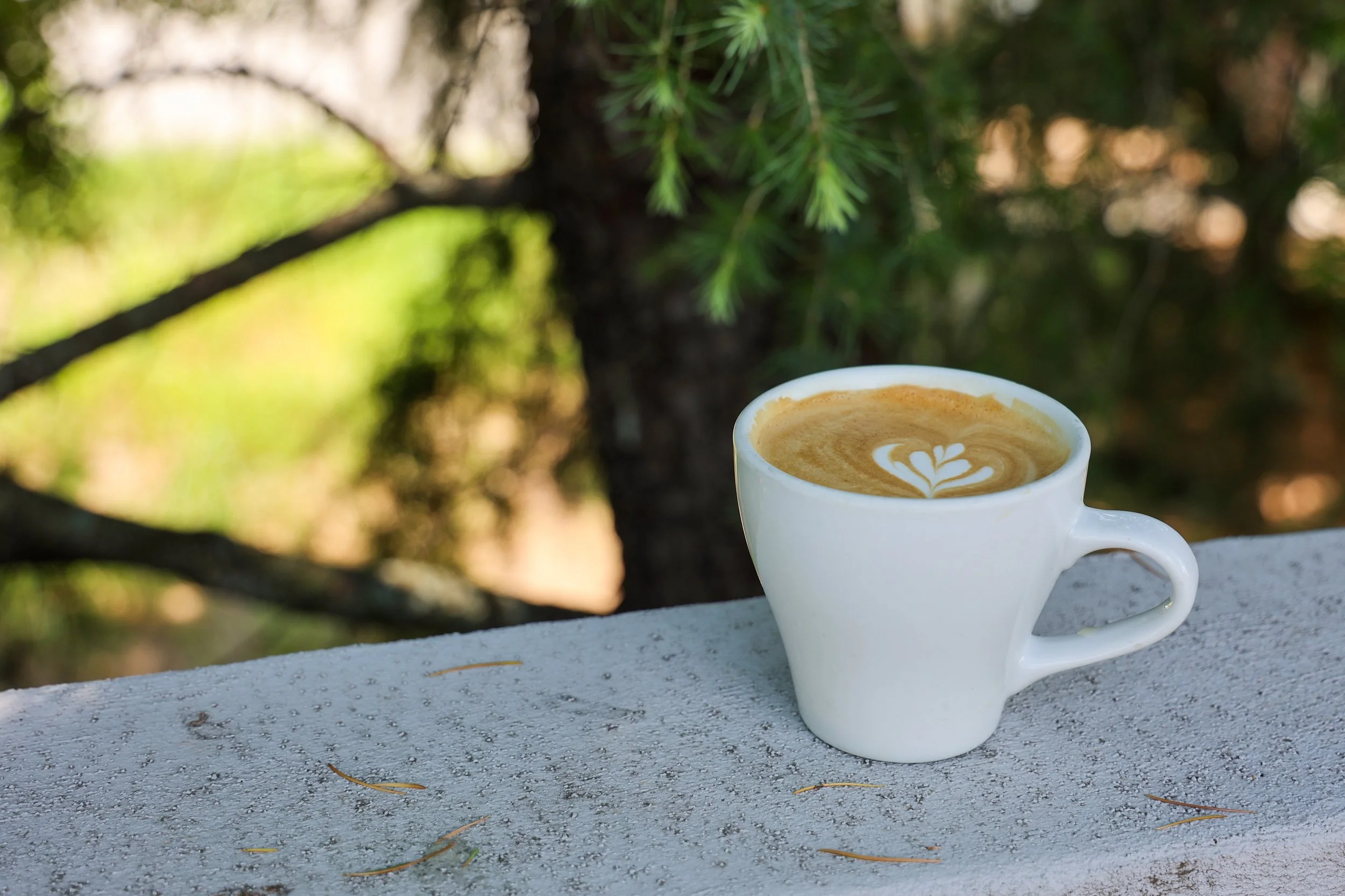 Honeysuckle Latte