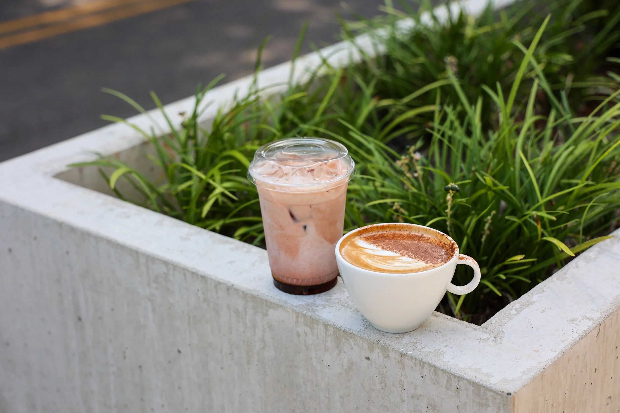 Maple Harvest Chai & The Great Pumpkin