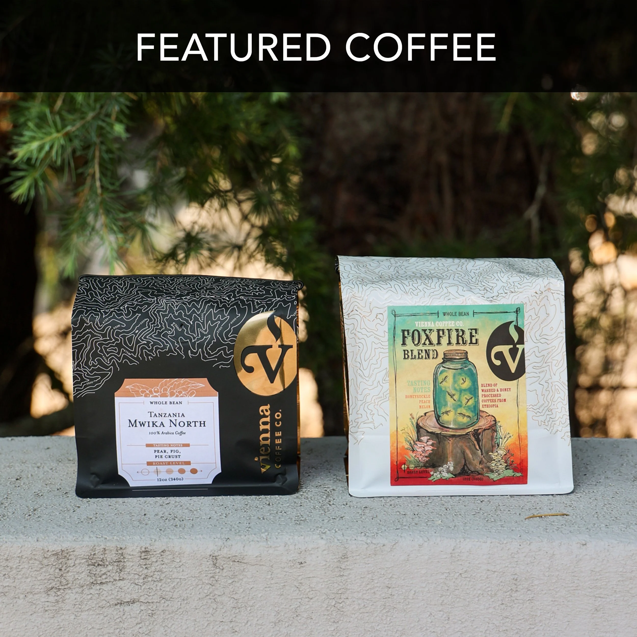 two coffee bean bags sitting on a wall with pine tree behind it from maryville Tennessee coffee company