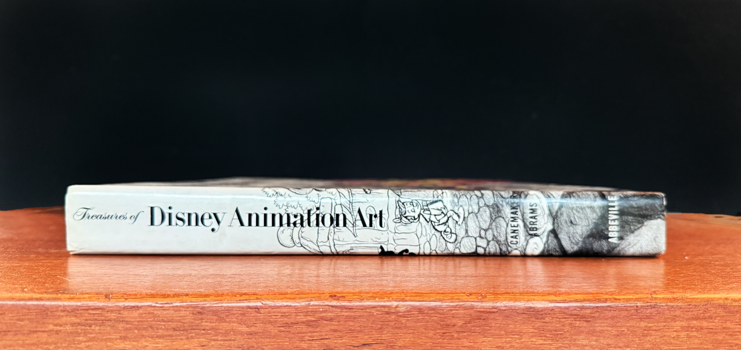 DISNEY ANIMATION spine.png