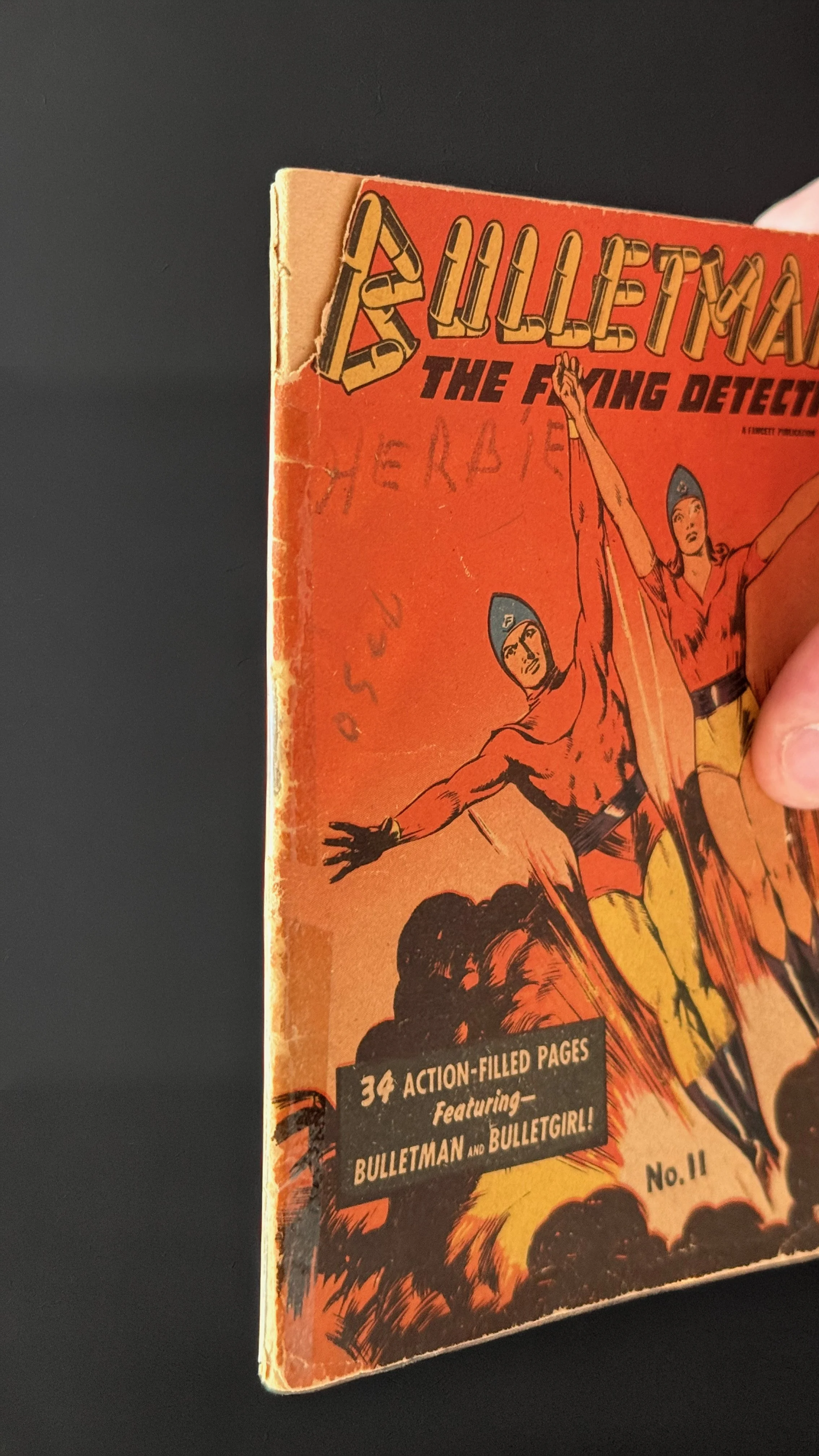 Bulletman Spine.jpg