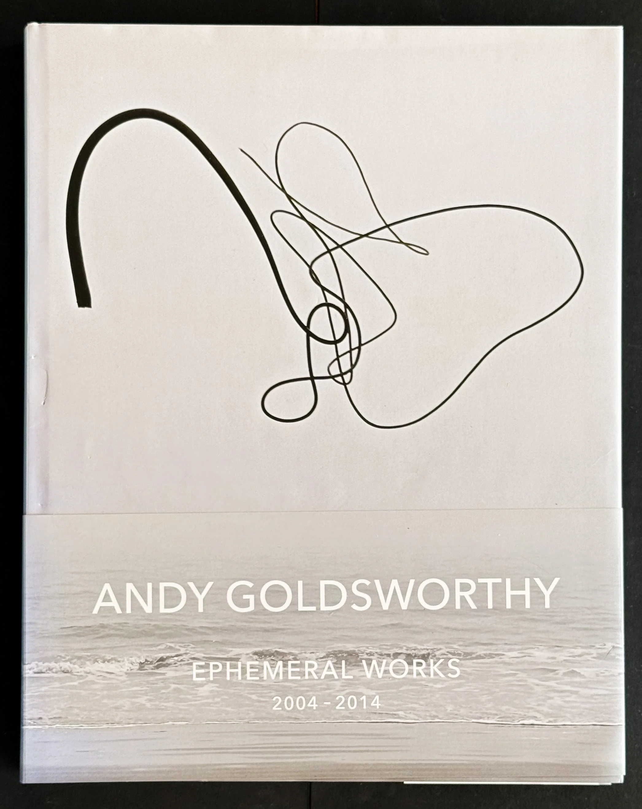 ANDY GOLDSWORTHY  $65