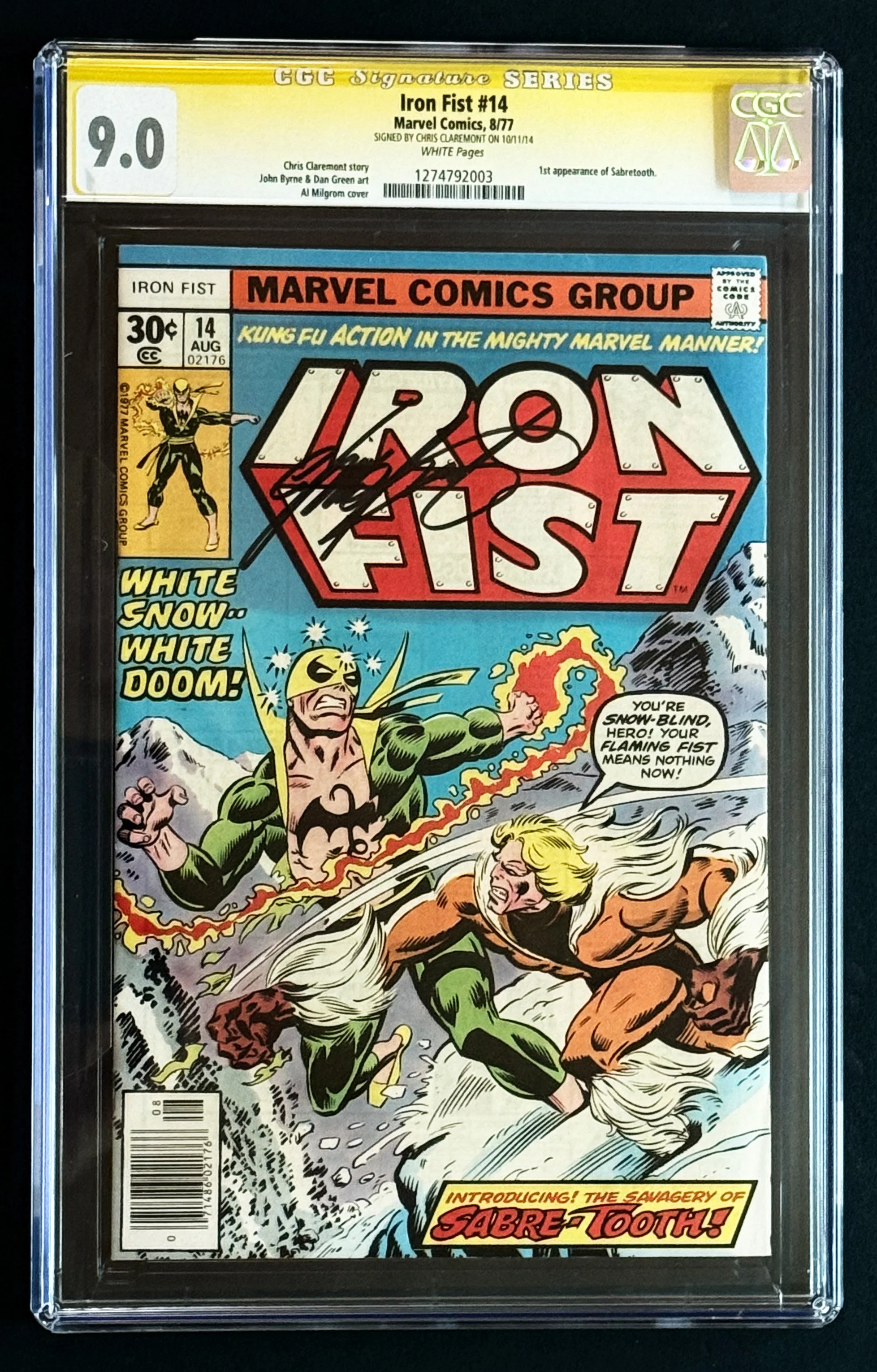 IRON FIST 14 FRONT.jpg