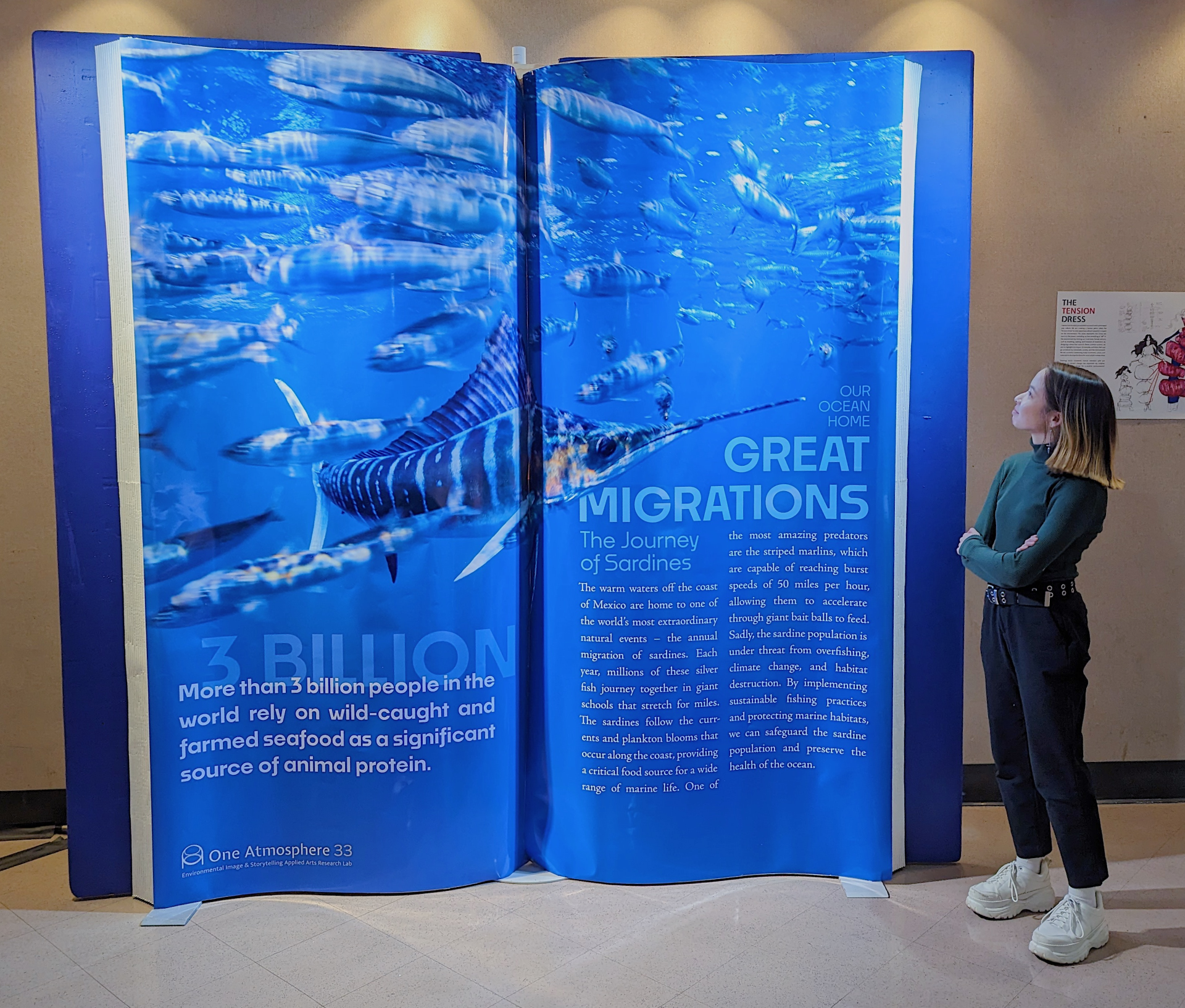 A woman standing with her arms crossed, looking at an informational display about migratory fish in an exhibit setting. The display features a large image of fish swimming underwater and text about their migration and ecological importance.
