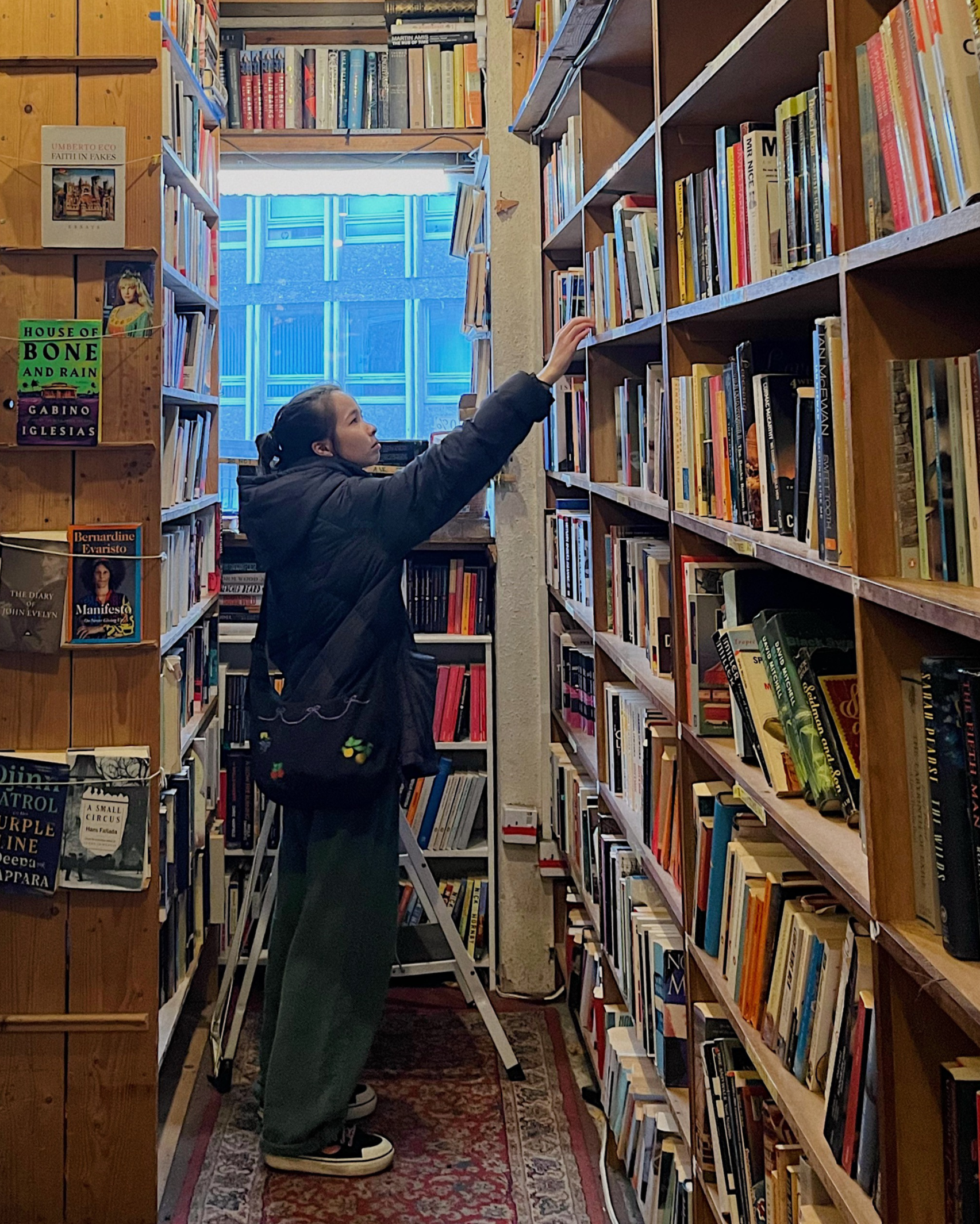 A person in a bookstore or library reaches for a book on a high shelf. They are standing on a ladder, with one hand on the shelf and the other hand reaching for a book. The person is wearing a black jacket and dark pants. The shelves are filled with various books, and there is a window in the background.