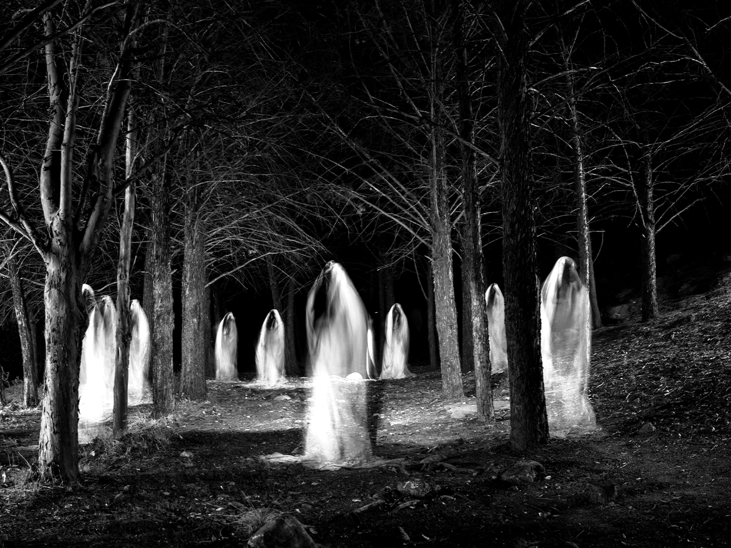 Ghostly figures floating among trees in a dark forest at night in black and white.
