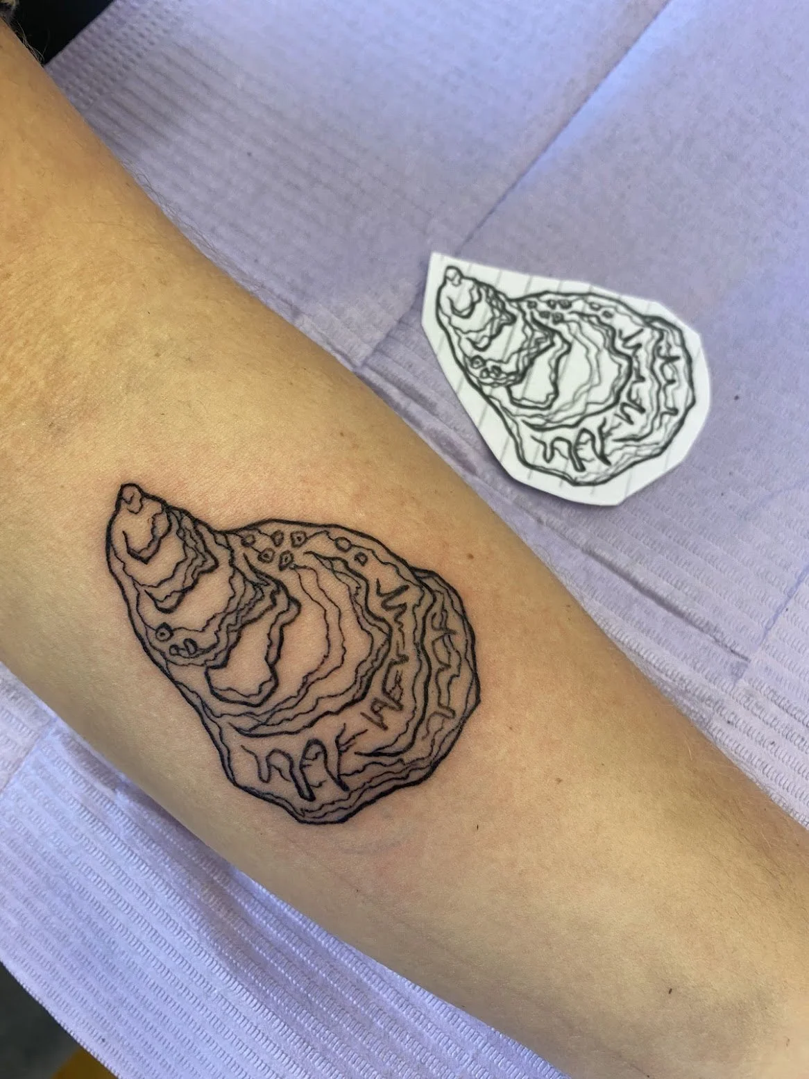Tattoo of an oyster shell or geological formation on person's arm, with a sticker of the same design beside it.
