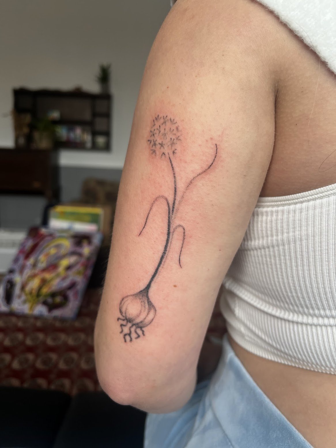 Tattoo of a flowering garlic bulb with seed head blowing in the wind on person's upper arm.