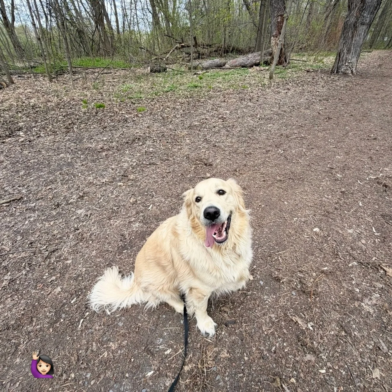 Swipe to help Cooper find his best tongue 👅 out picture ❤️