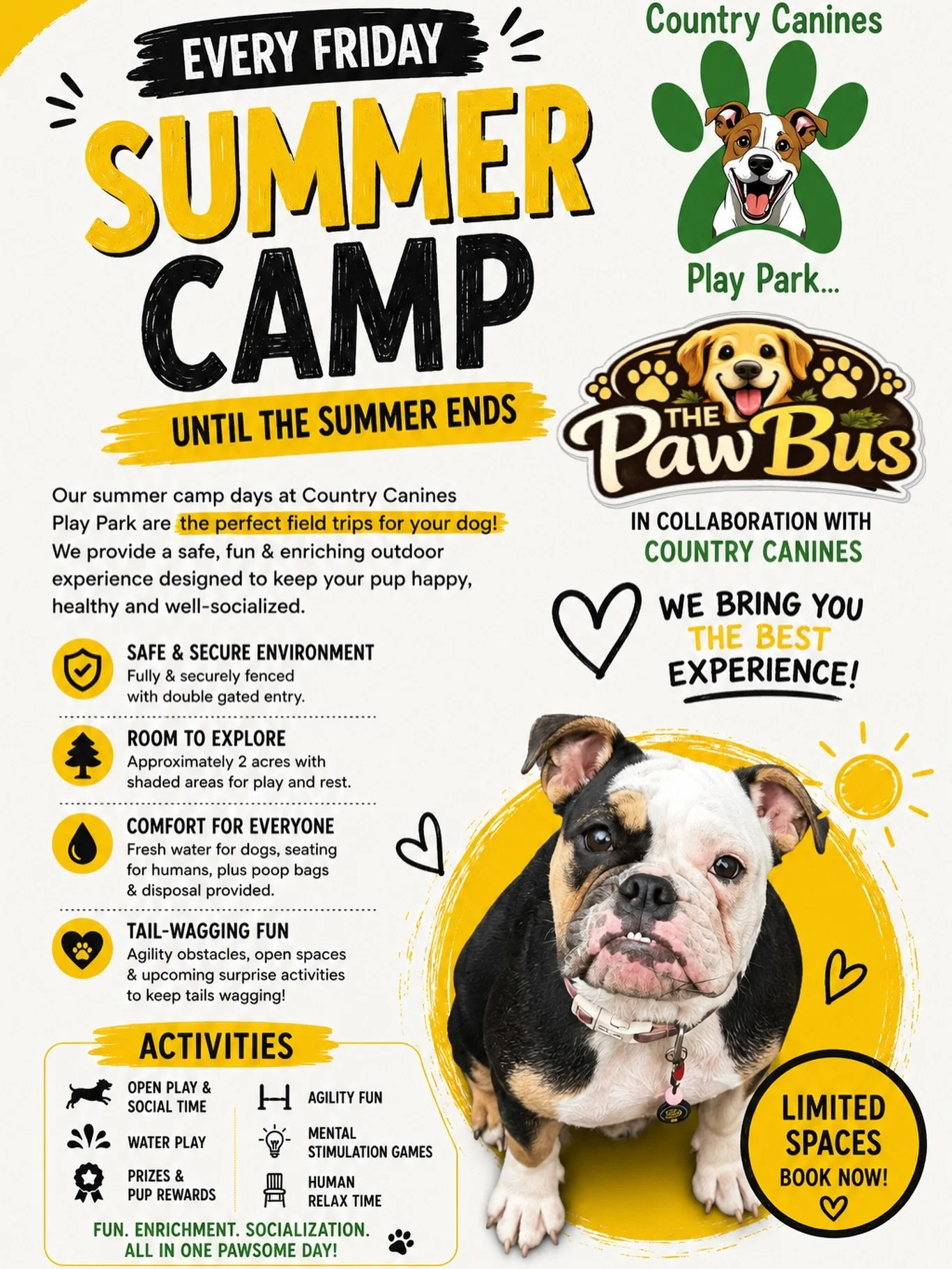 ☀️🐾 THE PAW BUS SUMMER ADVENTURE CAMP IS HERE! 🐾☀️

✅✅ August 21 ✅✅

We&rsquo;ve been working on something VERY exciting for your pups&hellip; and the time has finally come! 🐶💛

Get ready for a full day of adventure, exercise, enrichment, playtim