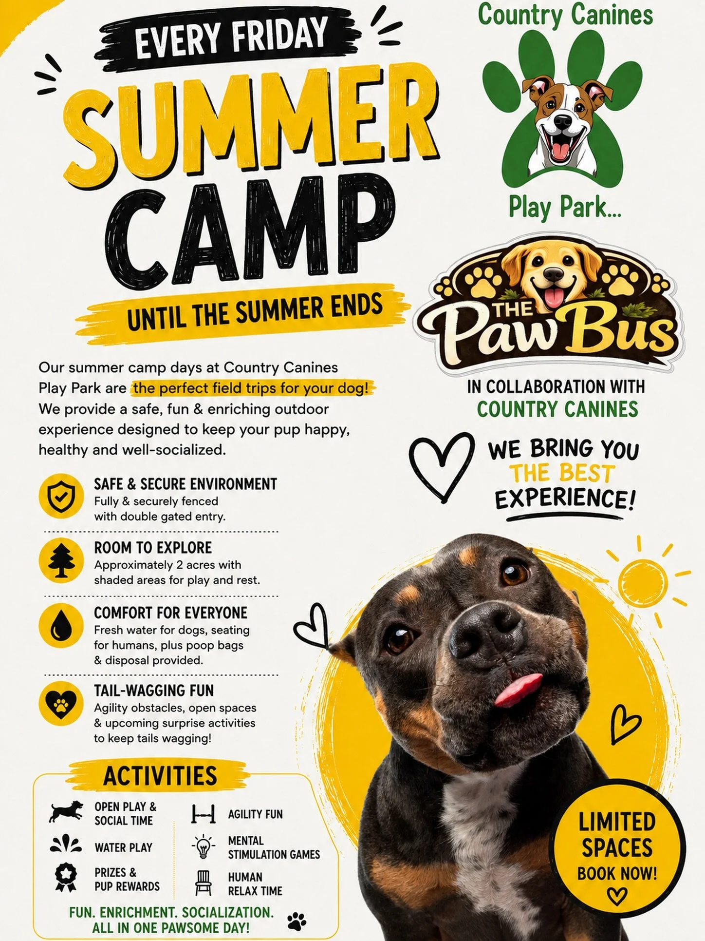 ☀️🐾 THE PAW BUS SUMMER ADVENTURE CAMP IS HERE! 🐾☀️

✅✅ August 28 ✅✅ ORLEANS ARE YOU READY ? 

Get ready for a full day of adventure, exercise, enrichment, playtime, exploring, and making new furry friends! 🌳🐕🎾

🚐 The Paw Bus Summer Adventure Ca
