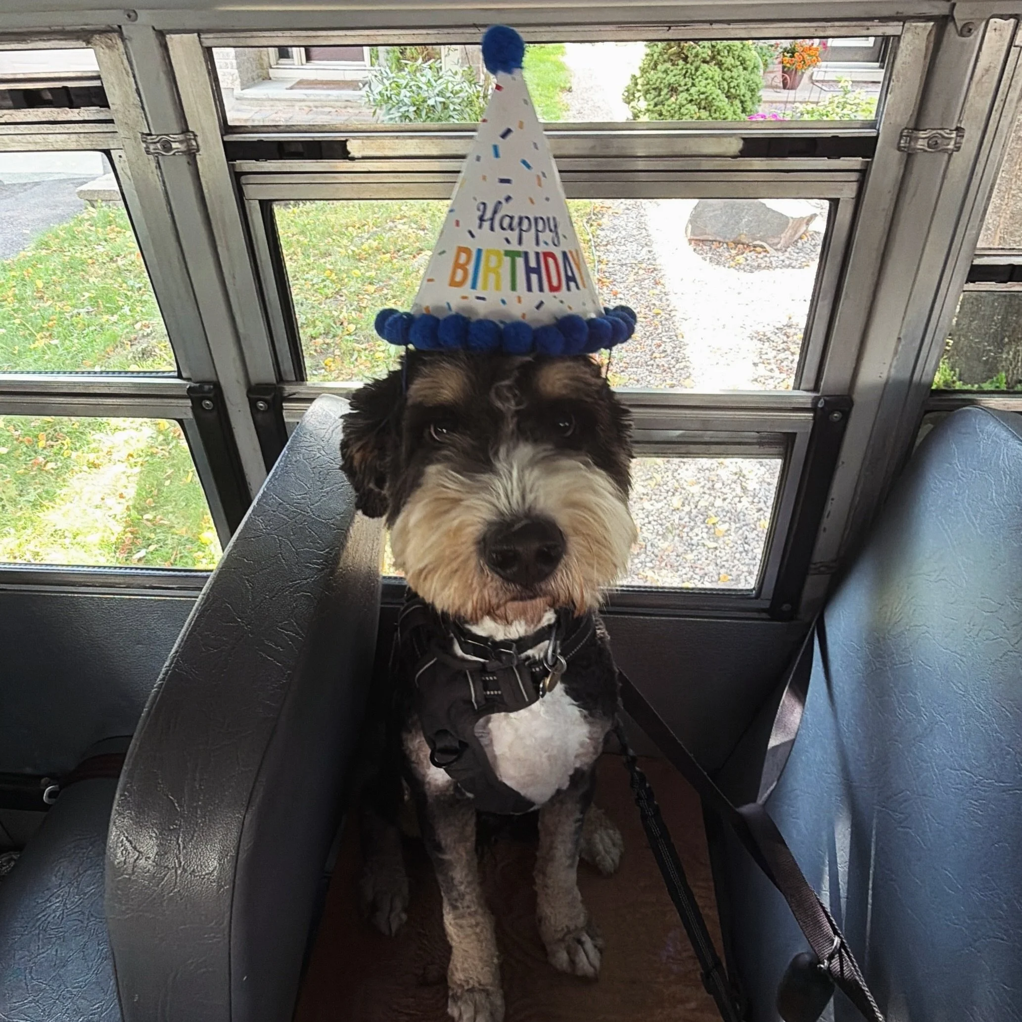 Happy birthday Rigby ❤️ we love you so much #2