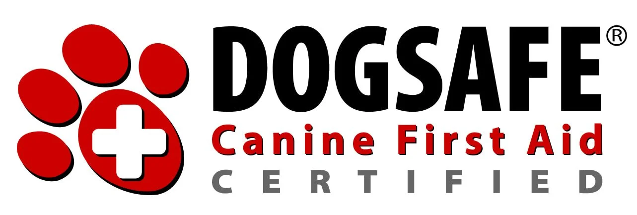 Logo of DOGSAFE, a canine first aid certification organization, featuring a red paw print with a white cross inside it, and text indicating certification and training for dog first aid.