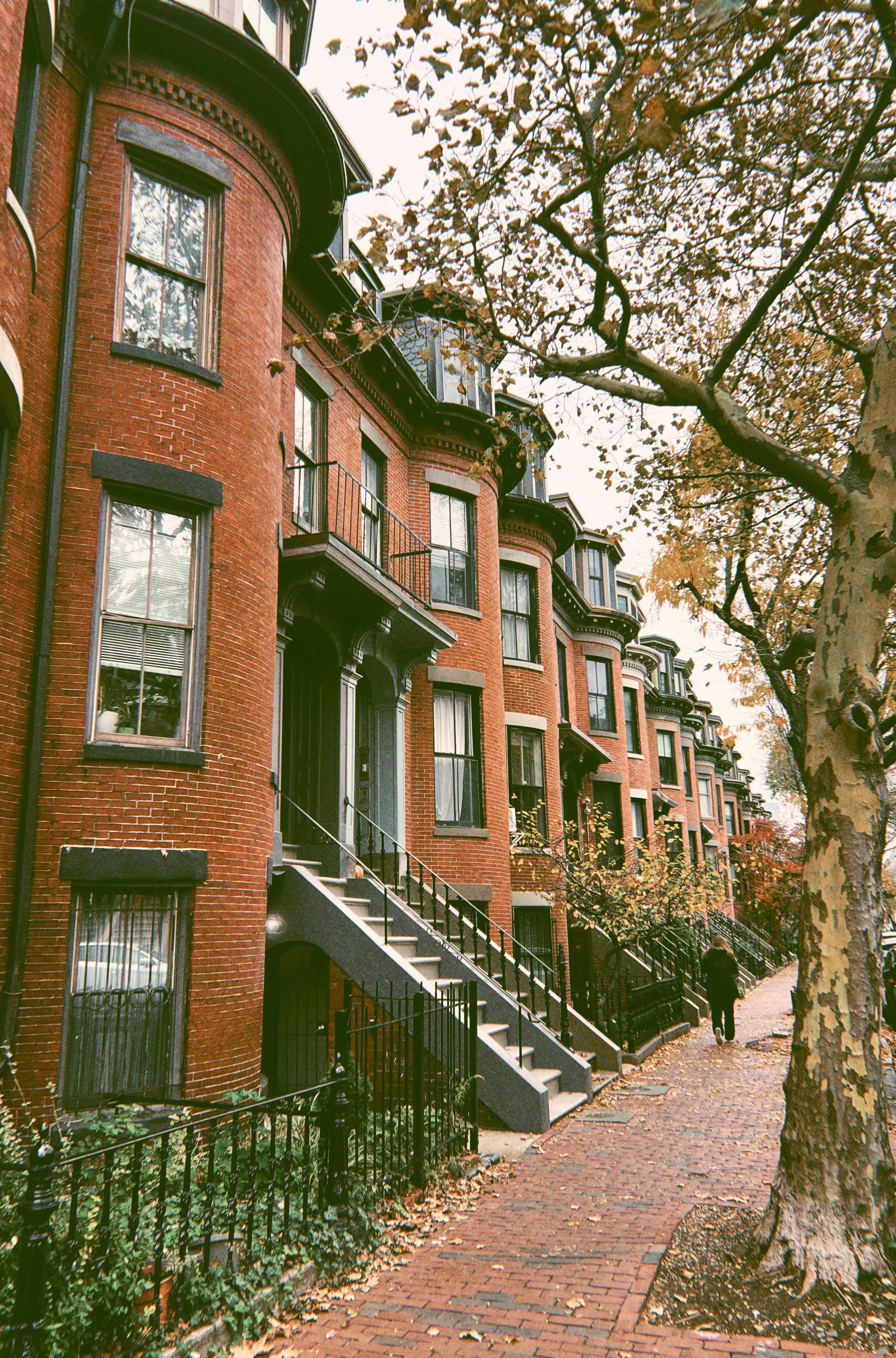 Roberta’s – Brooklyn, NY