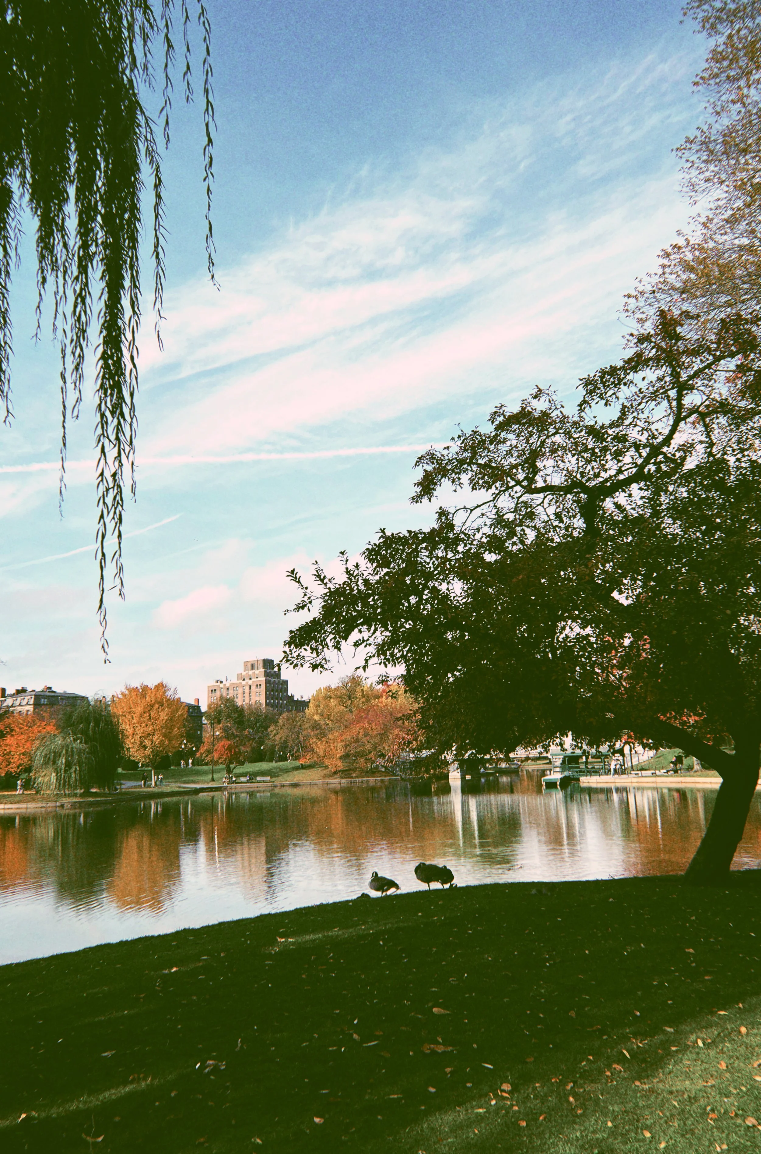The Boston Public Garden – Boston, Massachusetts