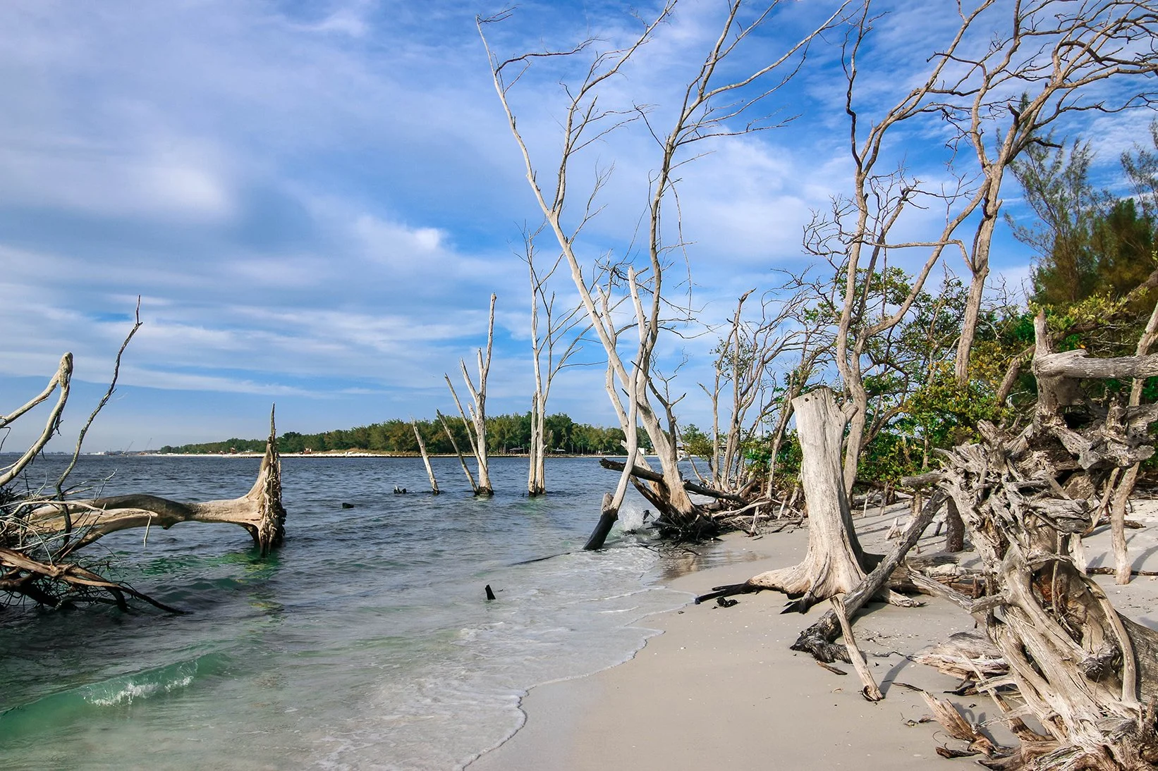 longboat key beach.jpg