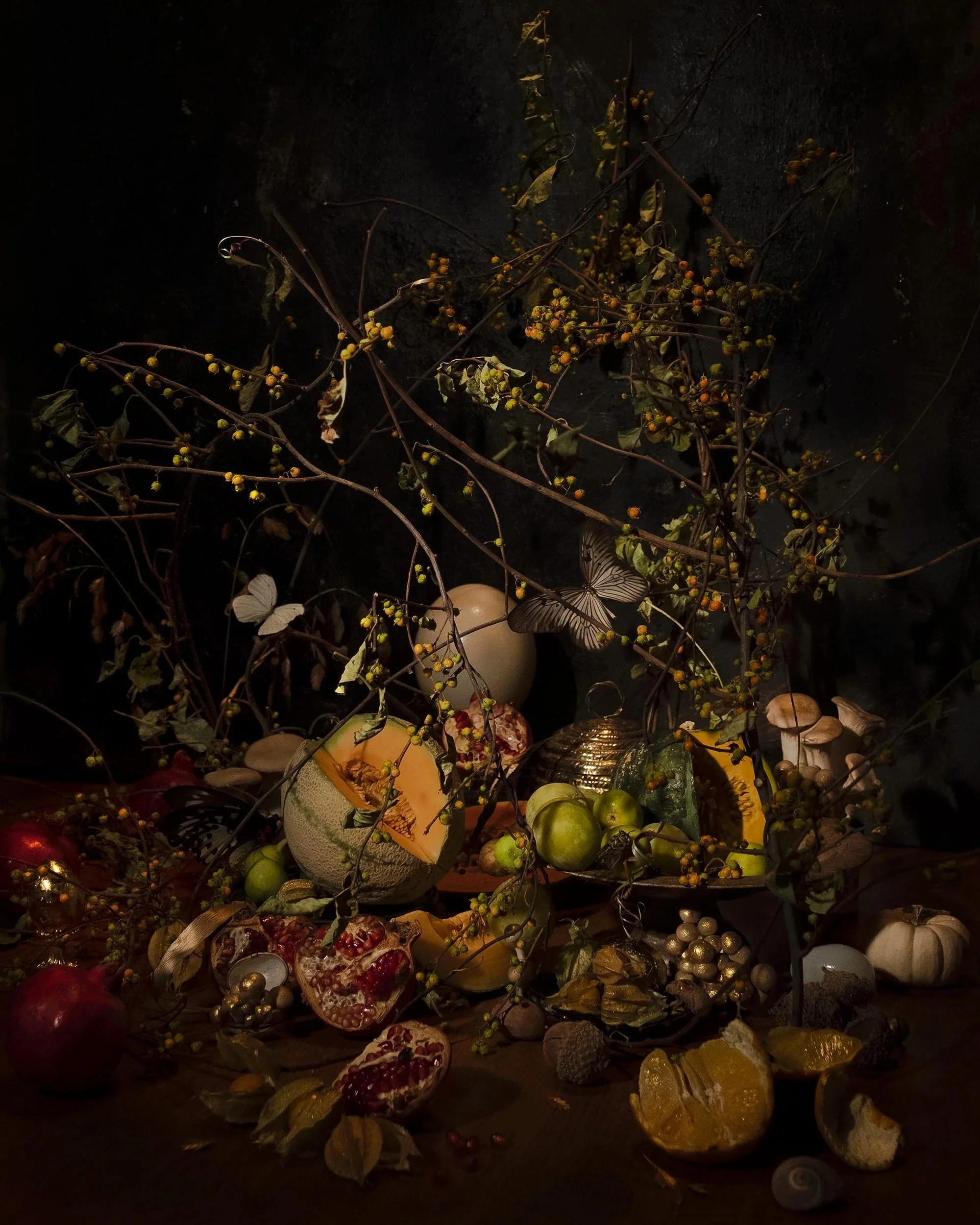 From the Forest Floor, 2020