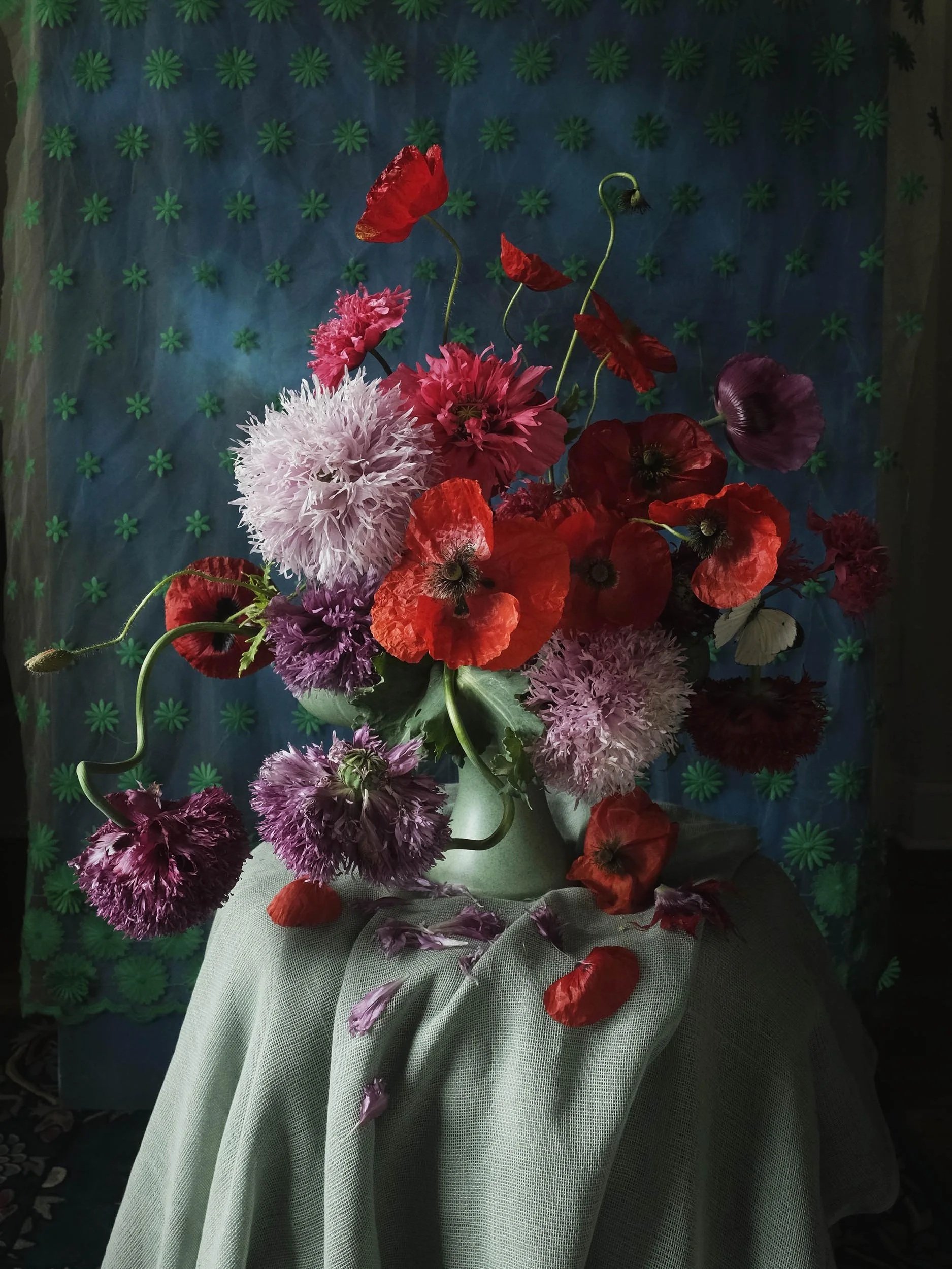 Poppies from the Garden