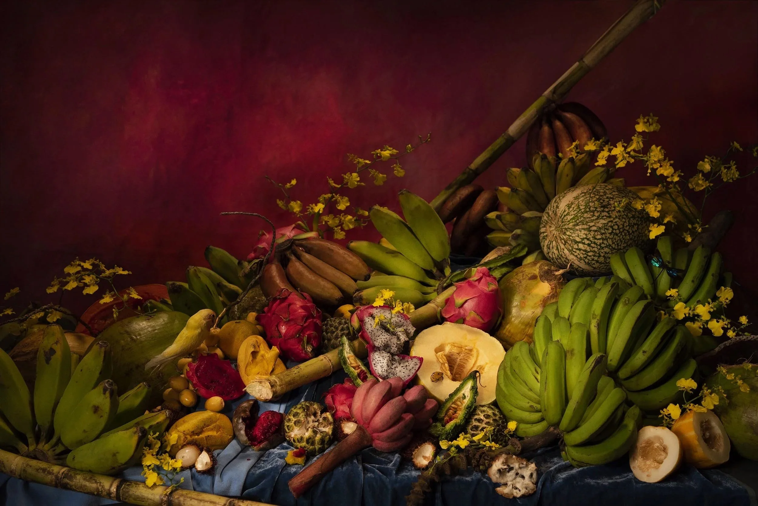 Still Life with Fruit