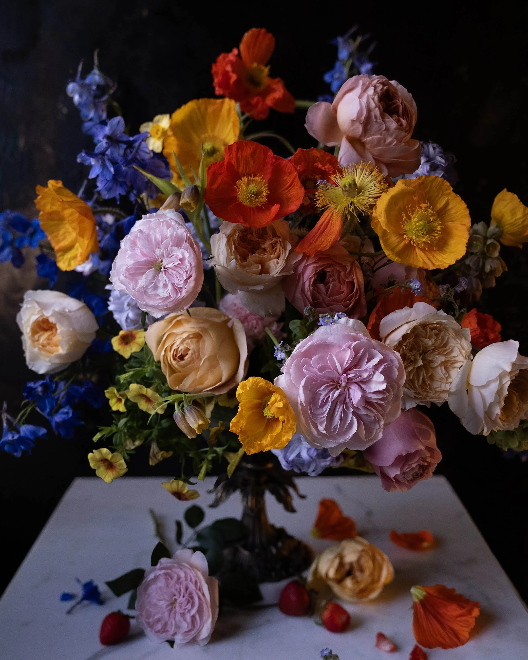 Dutch Spring on Black