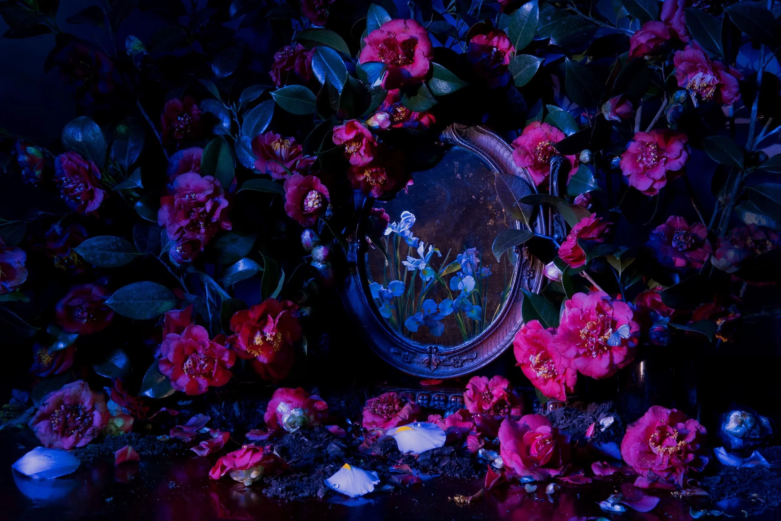 Spring in Shadow, 2025