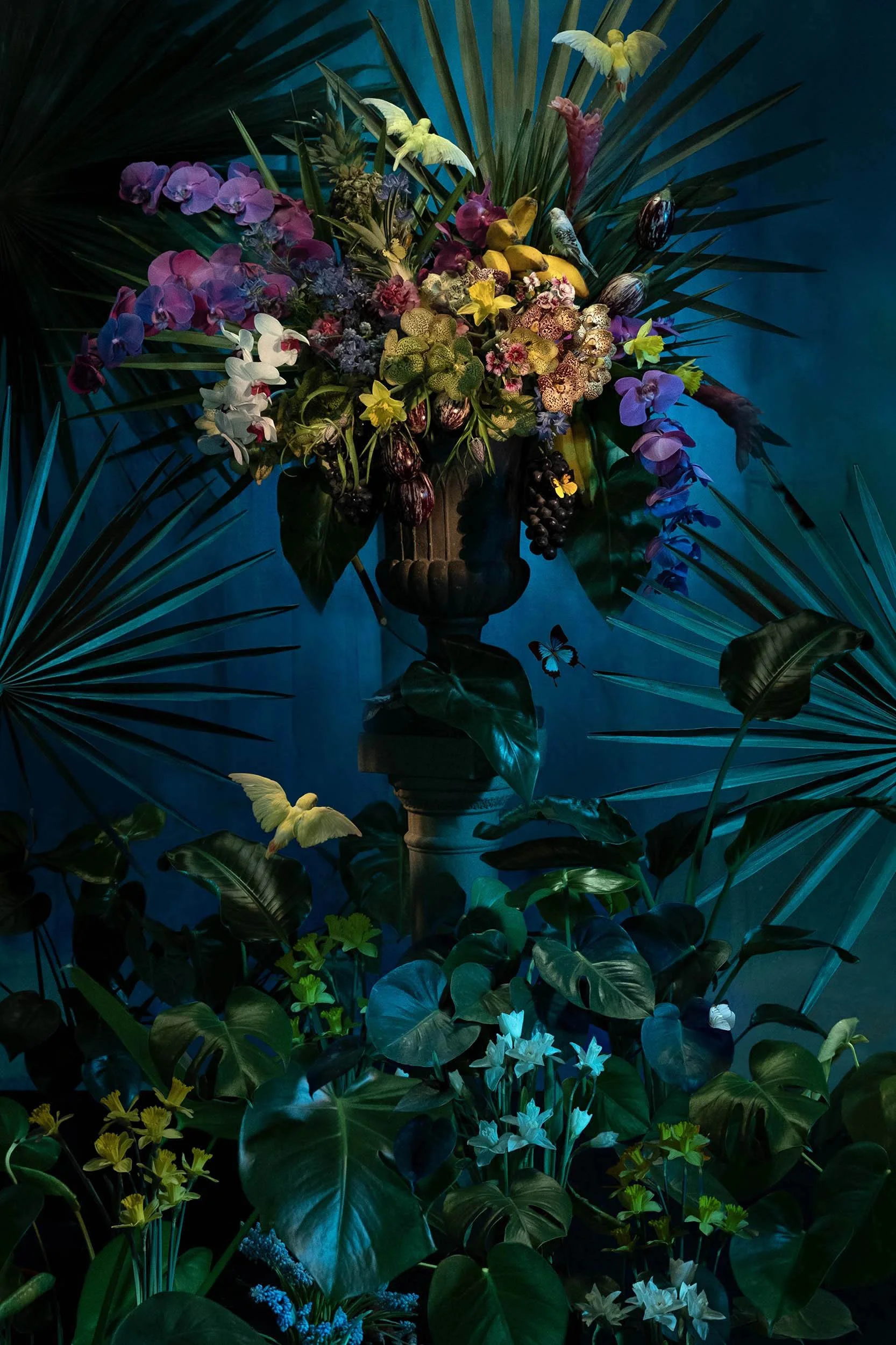 Orchids by Moonlight