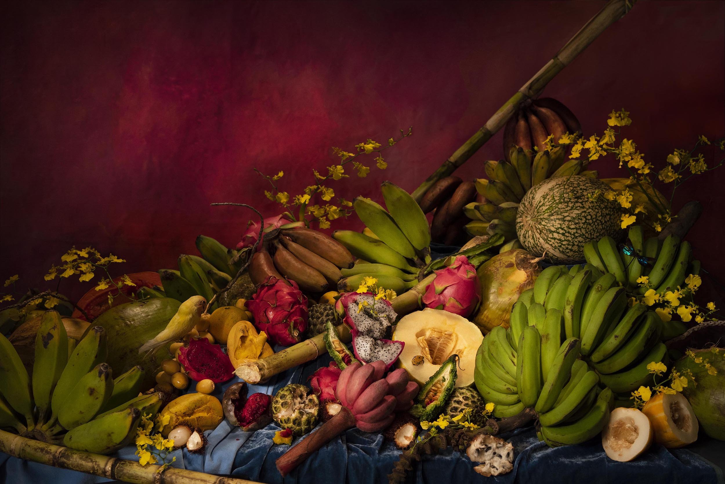 Still Life with Fruit, 2022