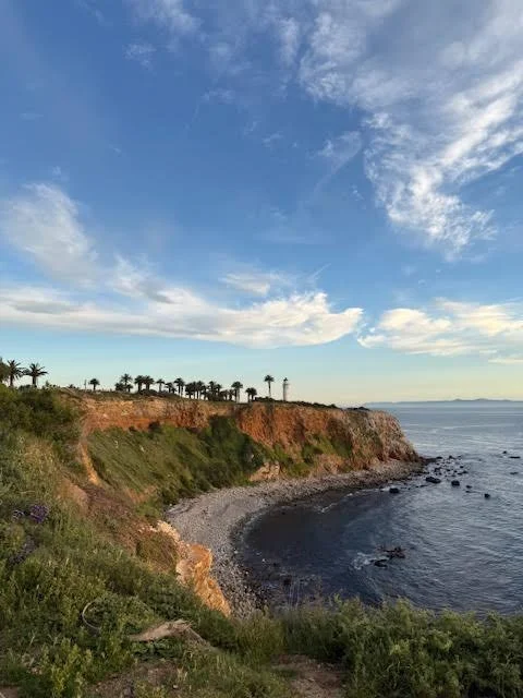 Coastal landscape with a rocky cliff, green vegetation, and palm trees, overlooking the ocean on a partly cloudy day.