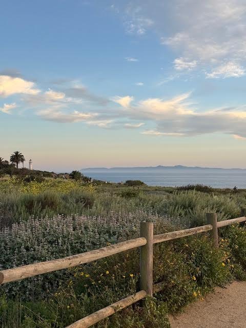 A coastal landscape with a dirt path, wooden fence, and lush greenery leading to the ocean with mountains in the background under a partly cloudy sky.