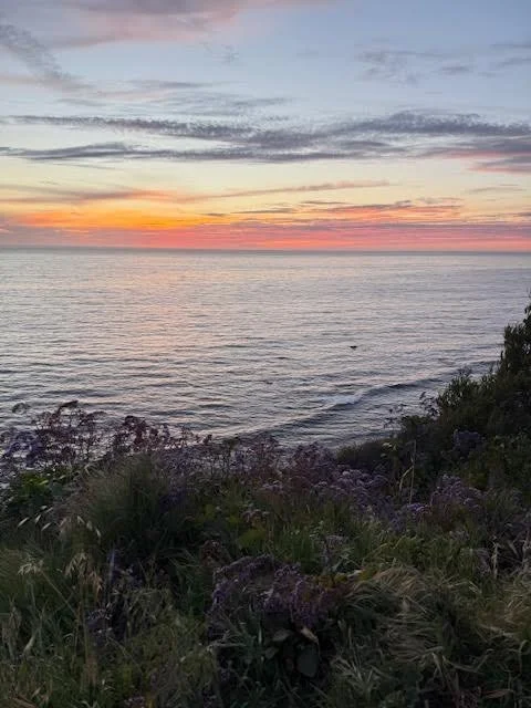 Sunset over the ocean with colorful sky and ocean waves, foreground of green plants and bushes.