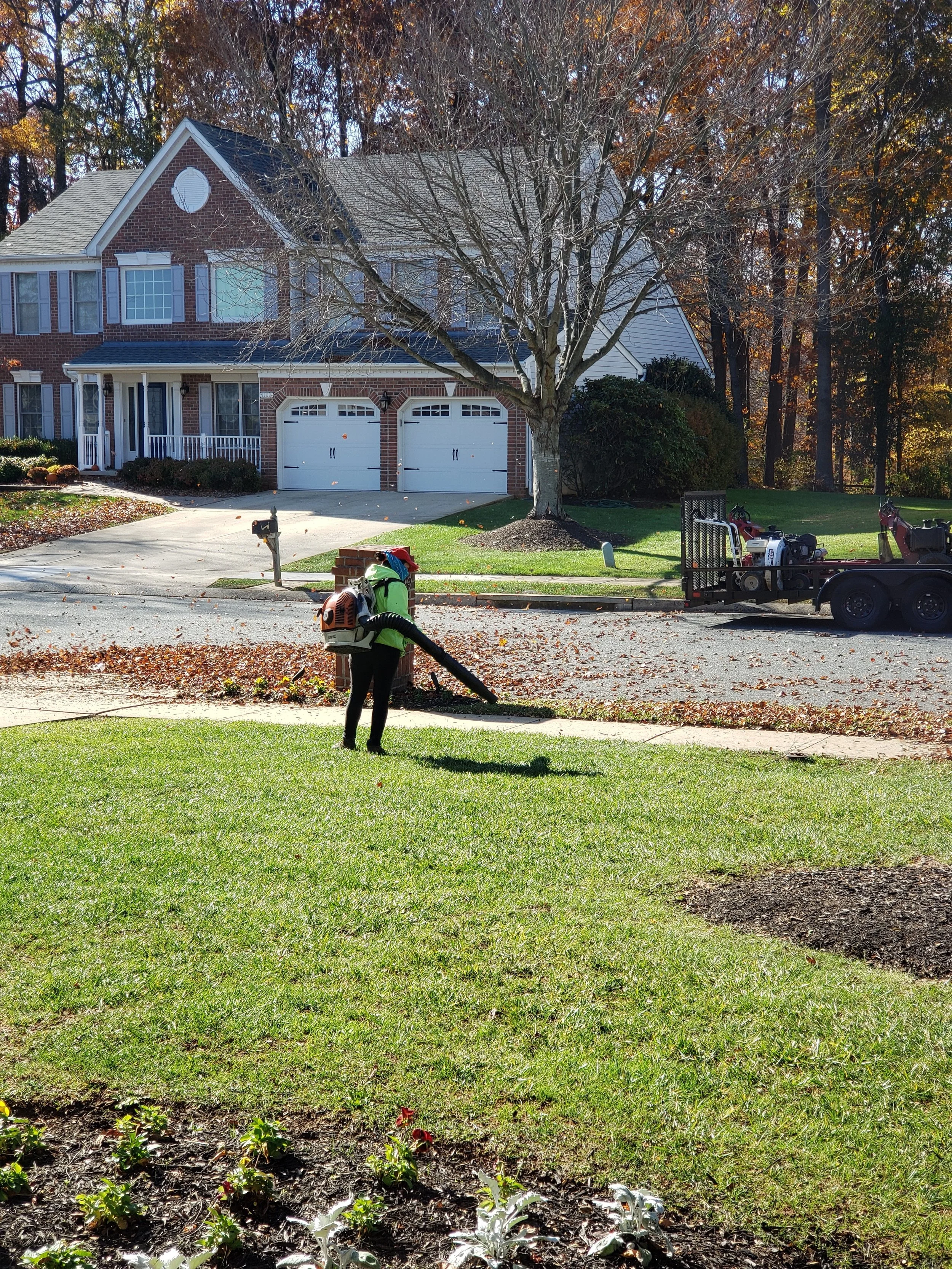 Leaf removal benefits