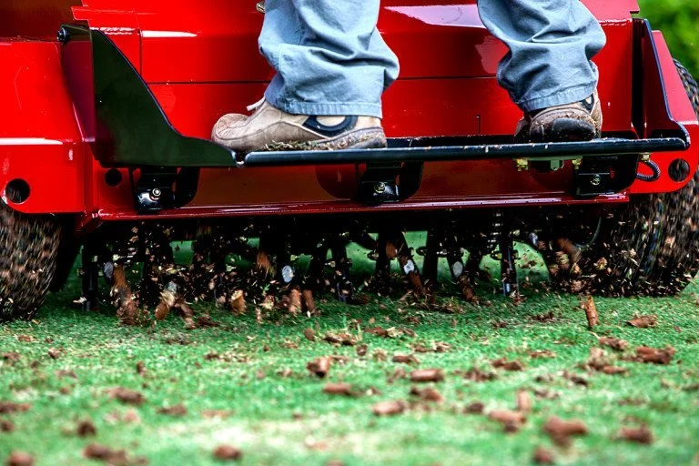 Aeration and Overseeding