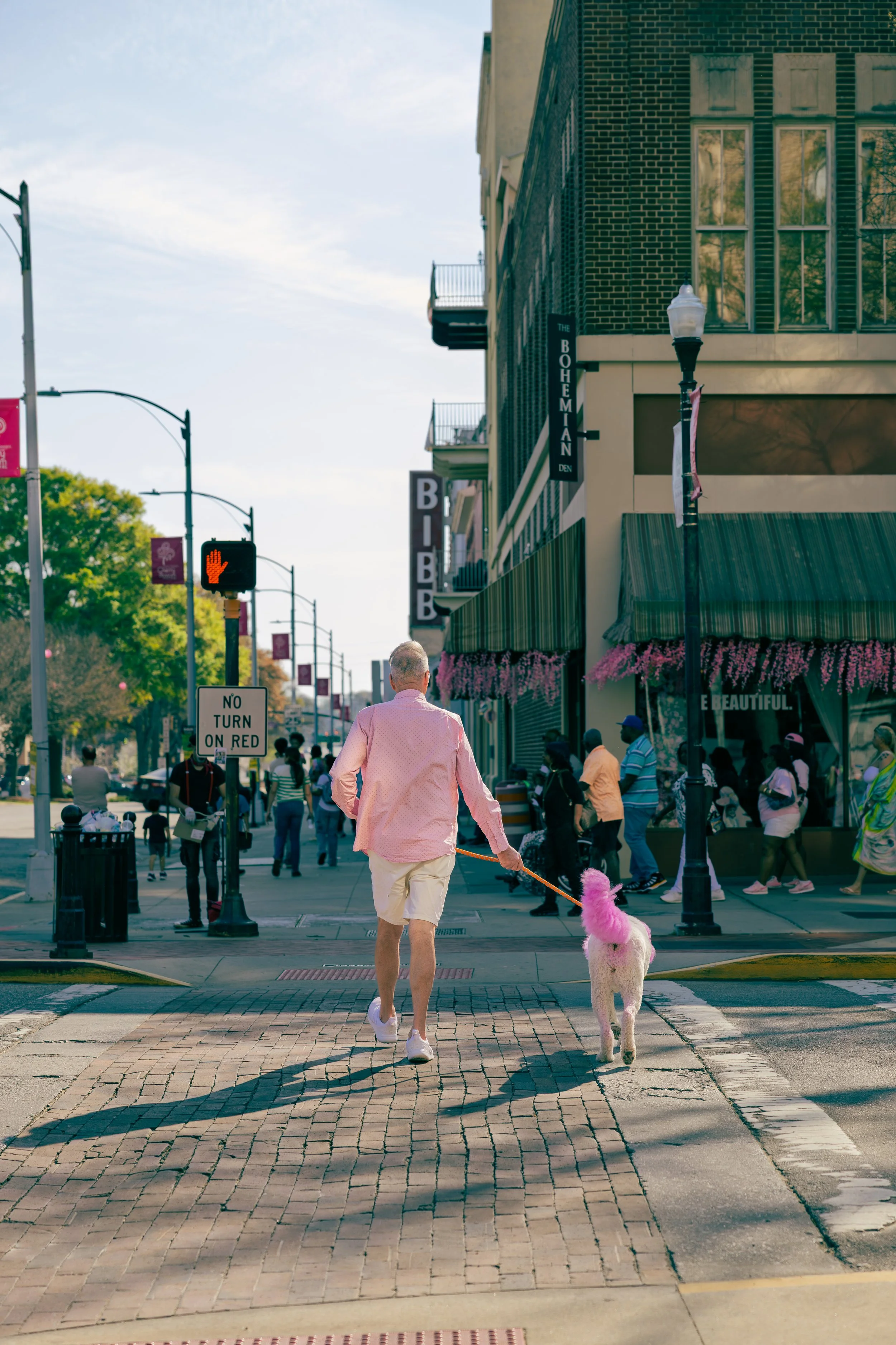 Older man walking his dog on a city street crosswalk. The man is wearing a pink shirt and beige shorts. The dog has pink dye on its tail. The street is busy with pedestrians, and shops with green awnings are visible.