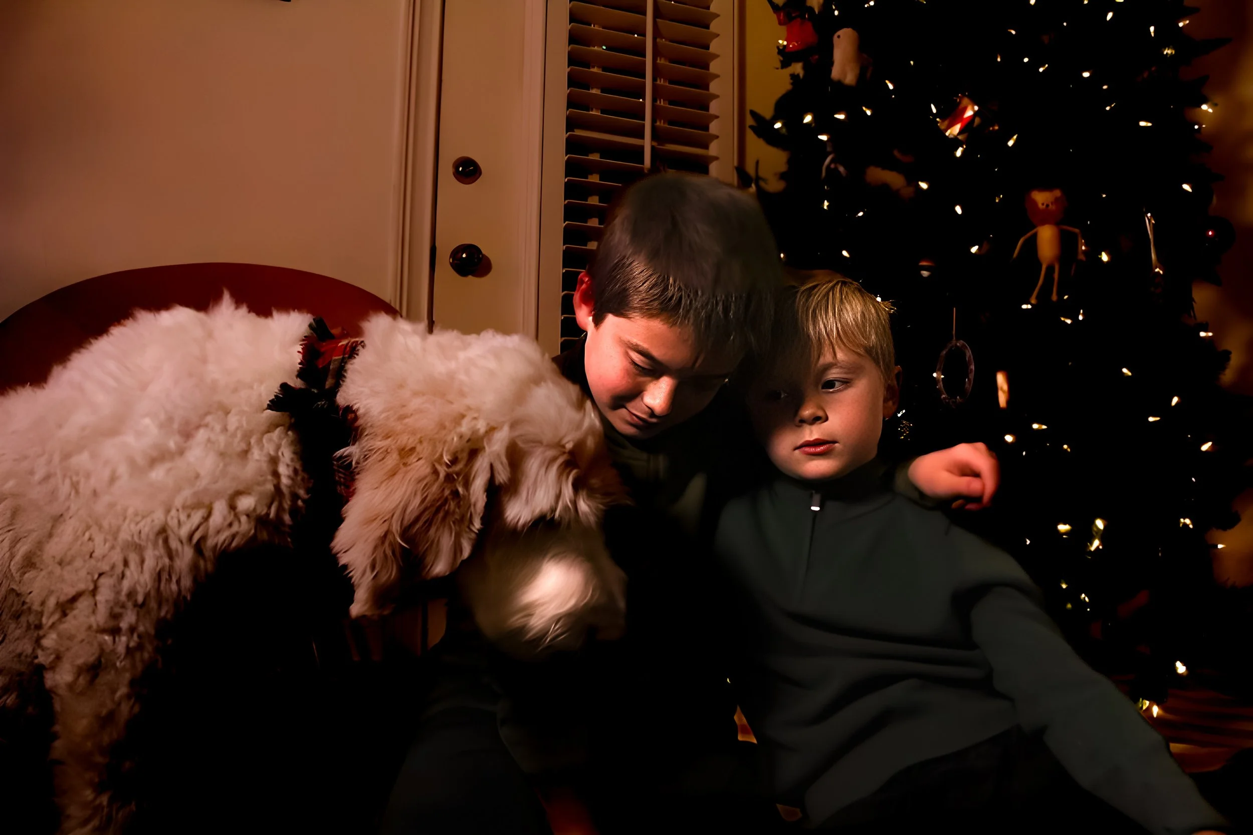 Two young boys and a fluffy dog sitting by a decorated Christmas tree in a dimly lit room.
