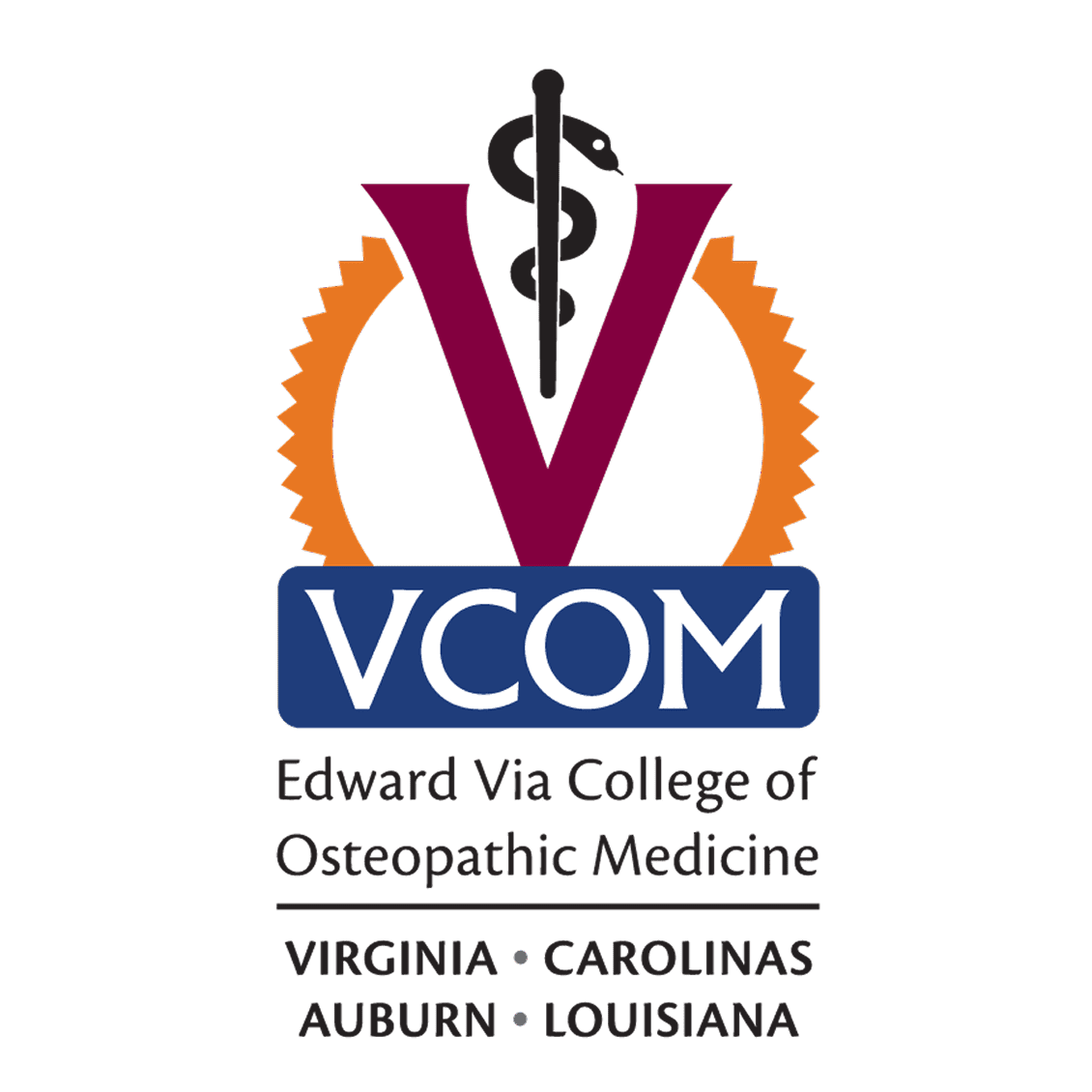 VCOM-Logo-Square.png
