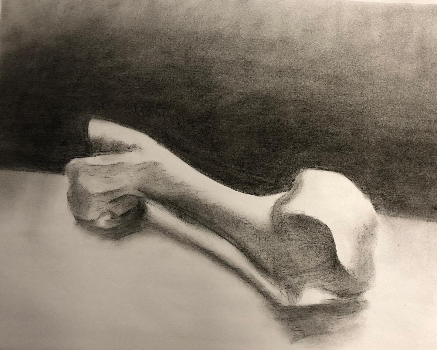 Had a bone to pick. So I drew one. Charcoal on newsprint. Practicing perspective.