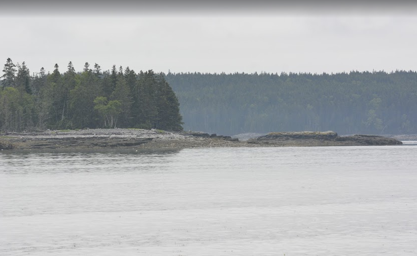 A body of water with a forested shoreline and trees in the background under an overcast sky.