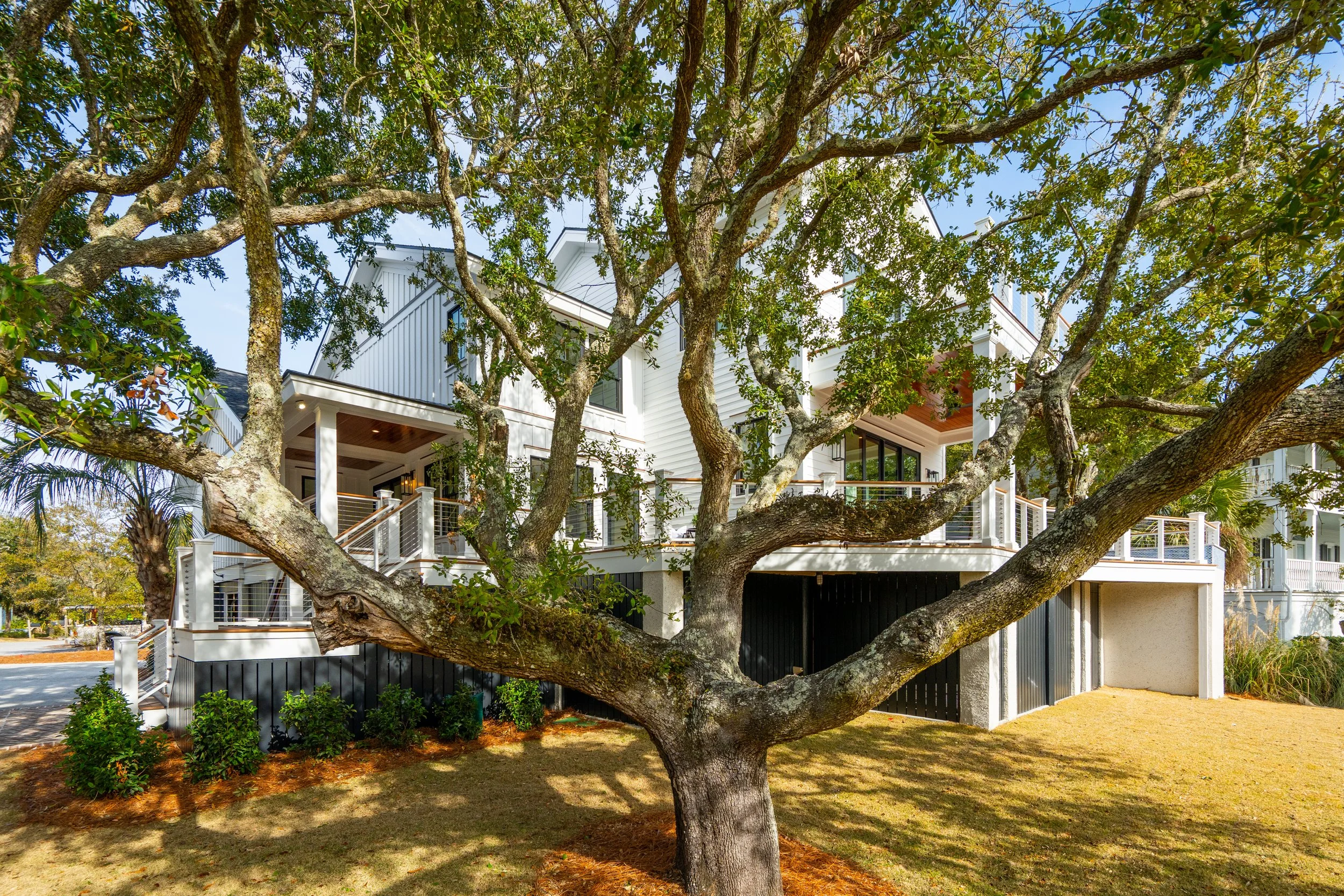 A modern multi-story house partially obscured by a large tree with sprawling branches in the front yard.