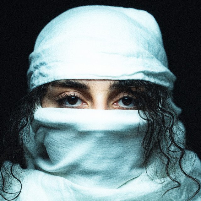 vant til (feat. Selina).jpg