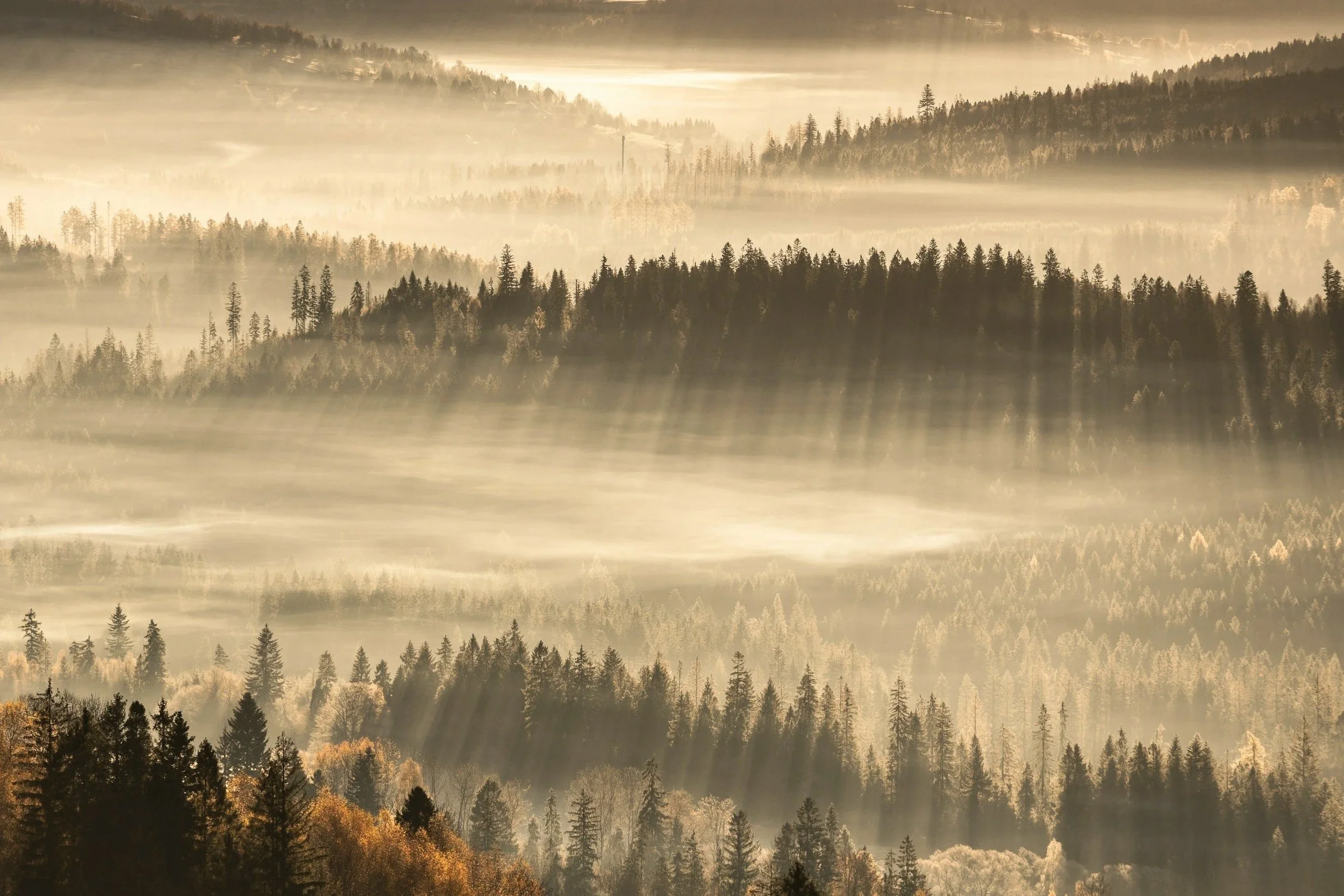 Sunlight over misty forested hills.